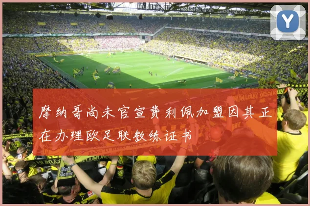 摩纳哥尚未官宣费利佩加盟因其正在办理欧足联教练证书