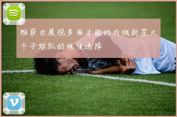 维萨尔展现多面才能的内线新星大个子球队的绝佳选择